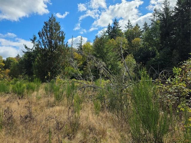 Land for sale in Tenino, Thurston County