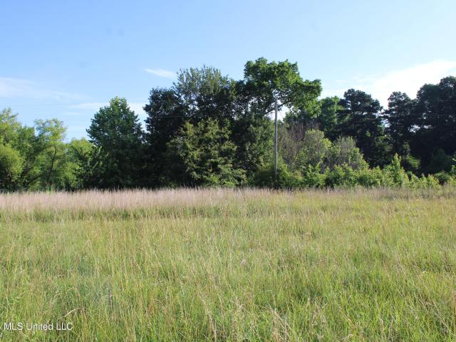 Land for sale in Hernando, Mississippi
