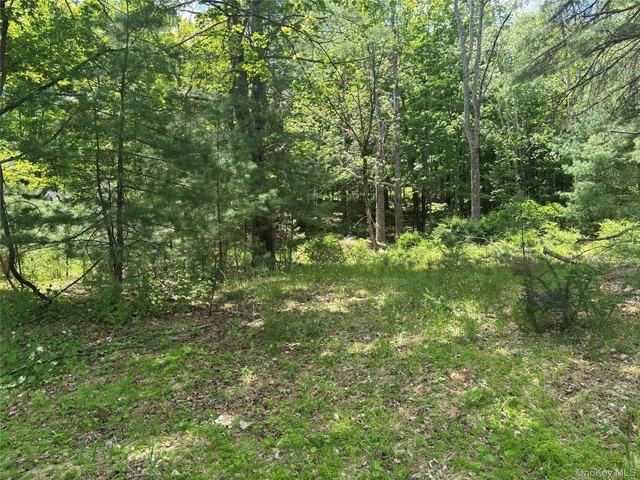 Land for sale in Wurtsboro, New York