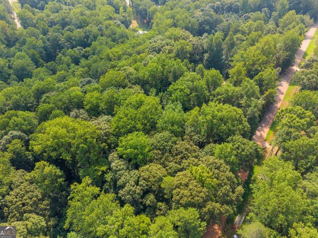 Land for sale in Maysville, Georgia