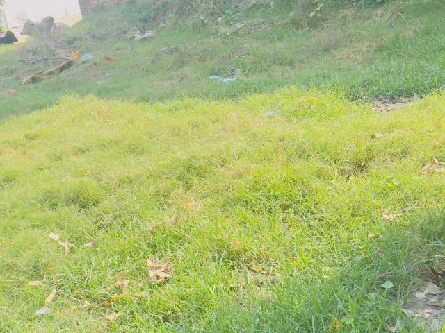 Land for sale in Hariana