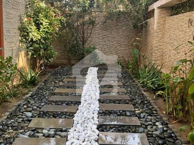 Office for rent in North Waziristan, Federally Administered Tribal Areas fata