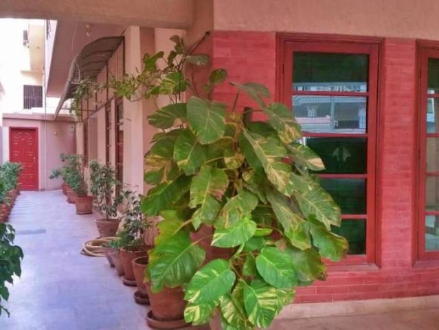 Property for rent in Gulshan e Iqbal Block 2, کراچی ڈویژن