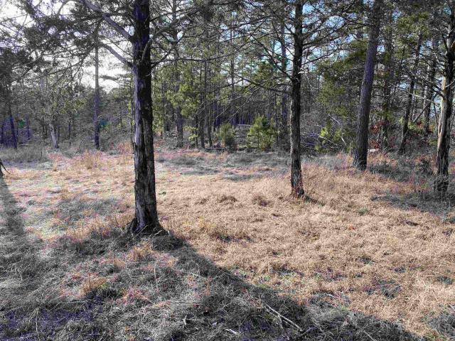Land for sale in Ark