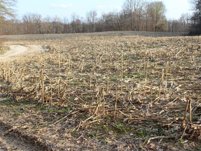 Land for sale in Greencastle, Indiana
