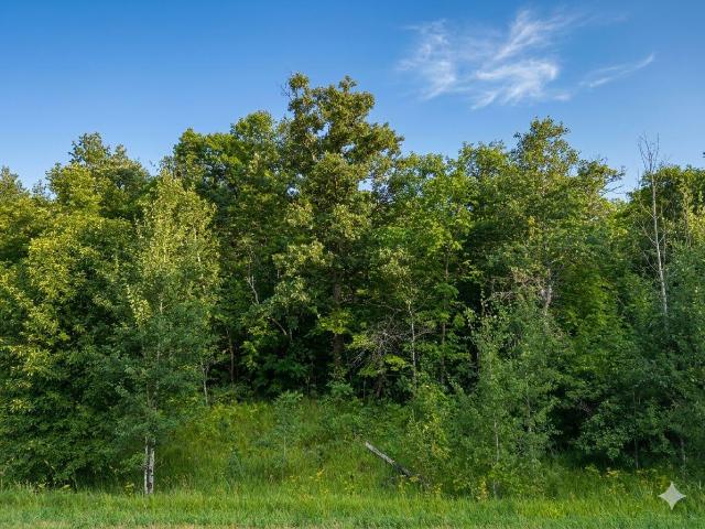 Land for sale in Waubun, Minnesota