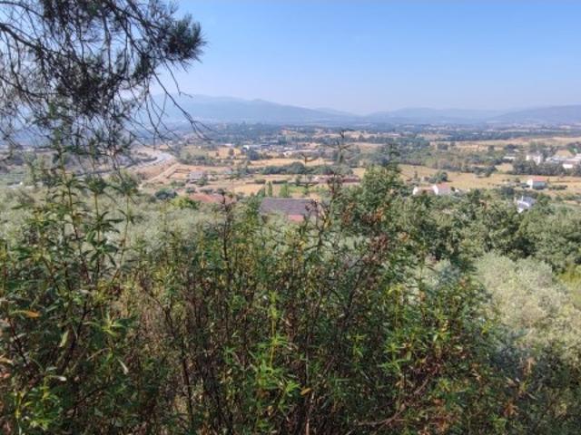 Terreno venda em Castelo Branco, Aldeia Nova Do Cabo