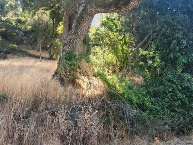 Land for sale in Lake, California