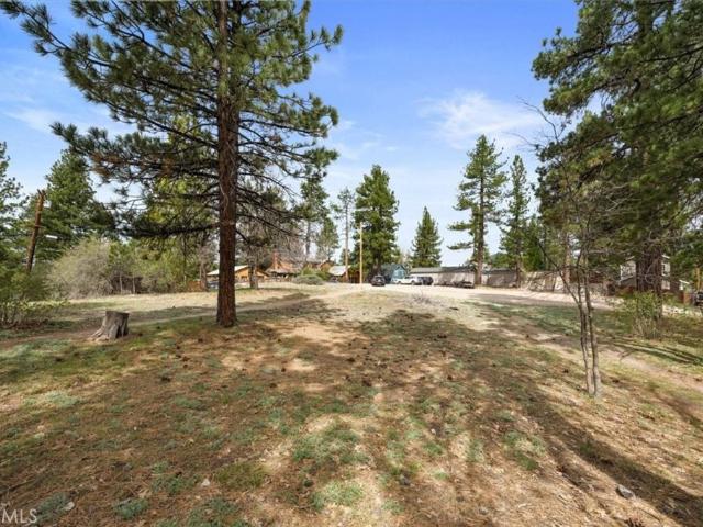 Property for rent in Big Bear Lake, California