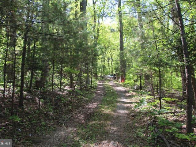 Land for sale in Virginia