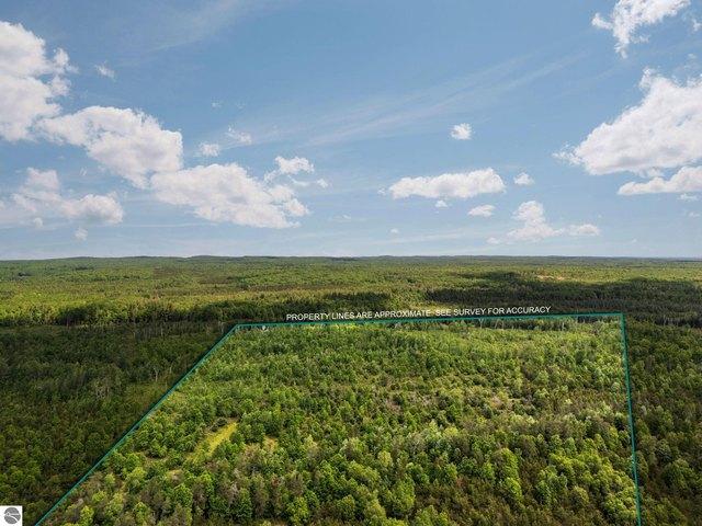 Land for sale in Lake City, Michigan