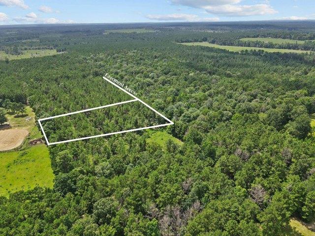 Land for sale in Village Mills, Texas