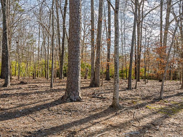 Land for sale in Durham, North Carolina