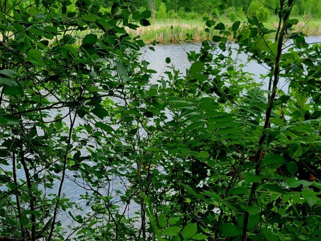 House for sale in Perham, Minnesota