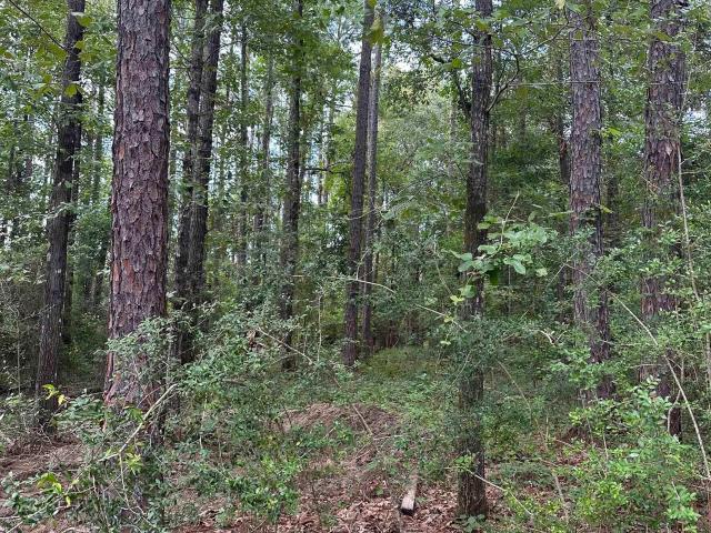 Land for sale in Bay Minette, Alabama