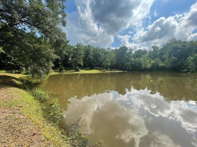 Land for sale in Grady, Georgia