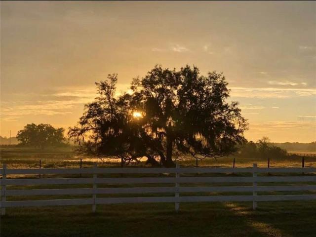 House for sale in Mascotte, Florida