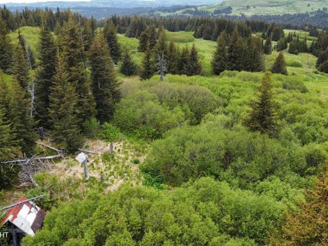 Land for sale in Homer