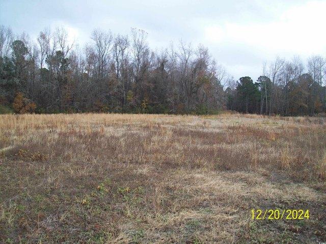 House for sale in Green Sea, South Carolina