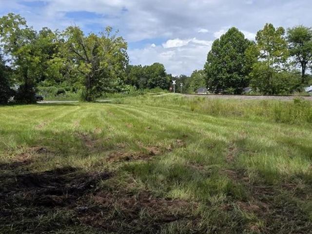 Land for sale in Fitzgerald, Ben Hill County