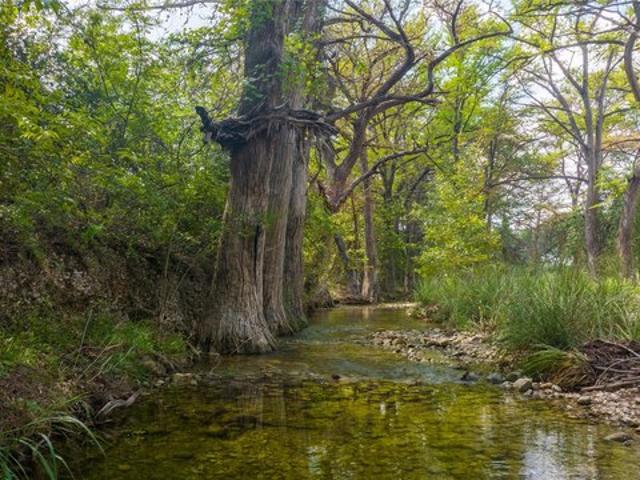Farm for sale in Utopia, Texas
