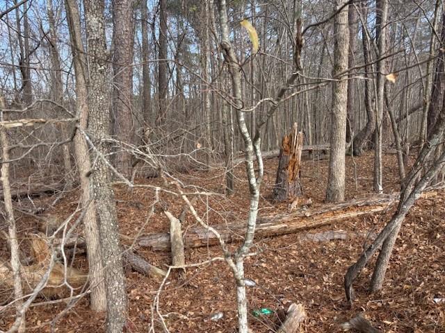 Land for sale in Oxford, Georgia