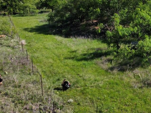 Land for sale in Goldsboro, Coleman County