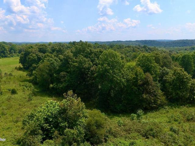 Land for sale in Caneyville, Kentucky
