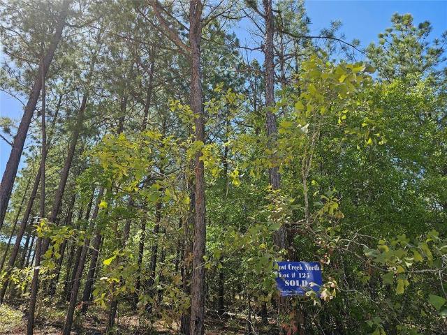 Land for sale in Broken Bow, Oklahoma