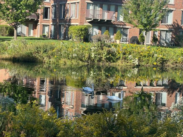 Condo for sale in Deerfield, Lake County