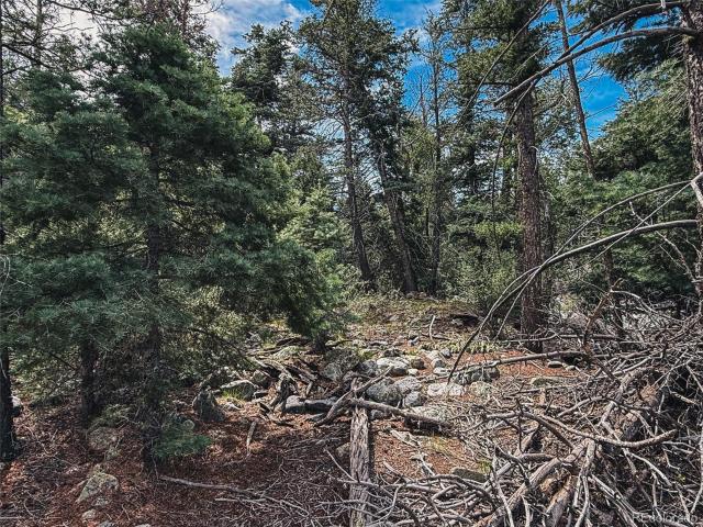 Land for sale in Colorado