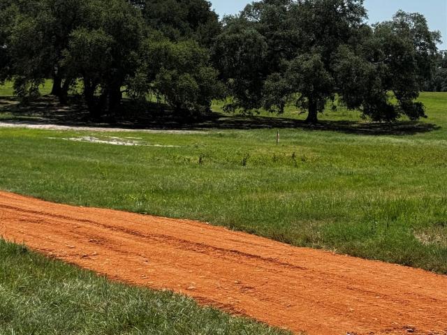 Land for sale in Flatonia, Texas