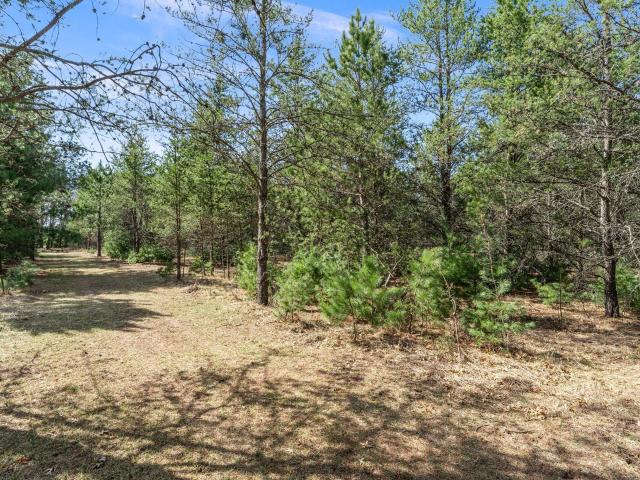 Land for sale in Grantsburg, Wisconsin