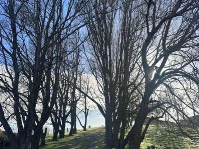 House for rent in Kaiwaka, Northland
