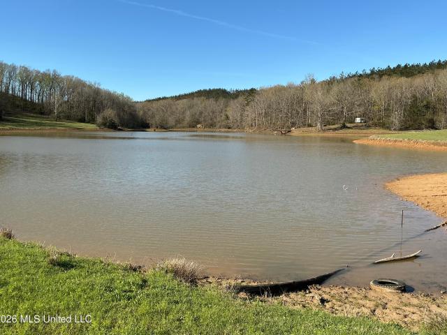 House for sale in Duck Hill, Mississippi