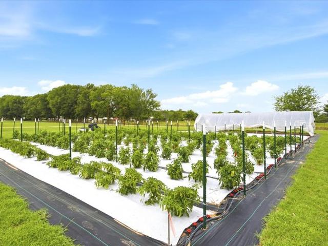 Farm for sale in Rains, Texas