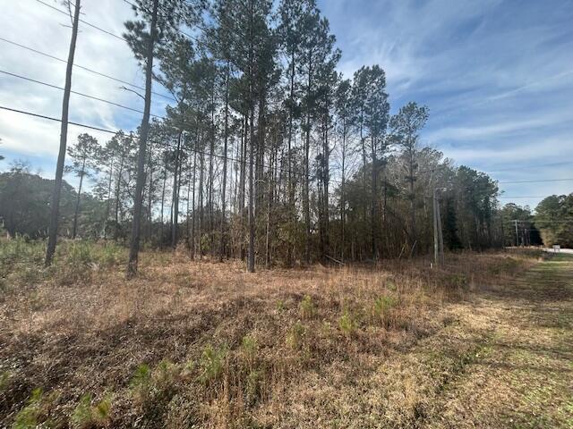 Land for sale in Walterboro, South Carolina