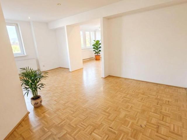 Apartment mieten in Altstadtviertel, Linz