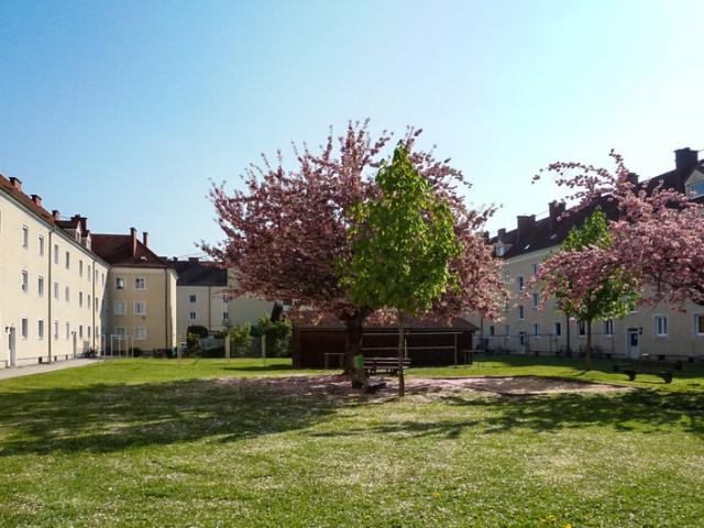 Apartment mieten in Kaplanhof, Linz