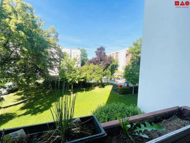 Apartment mieten in Bindermichl-Keferfeld, Linz