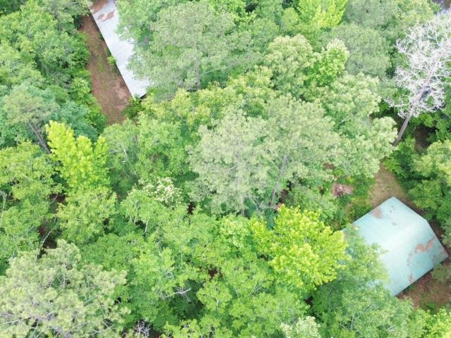 Land for sale in Coosa, Alabama