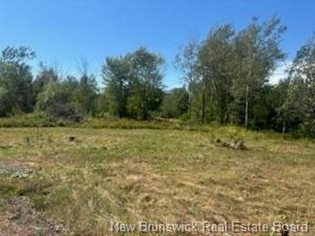 Land for sale in Flowers Cove, New Brunswick