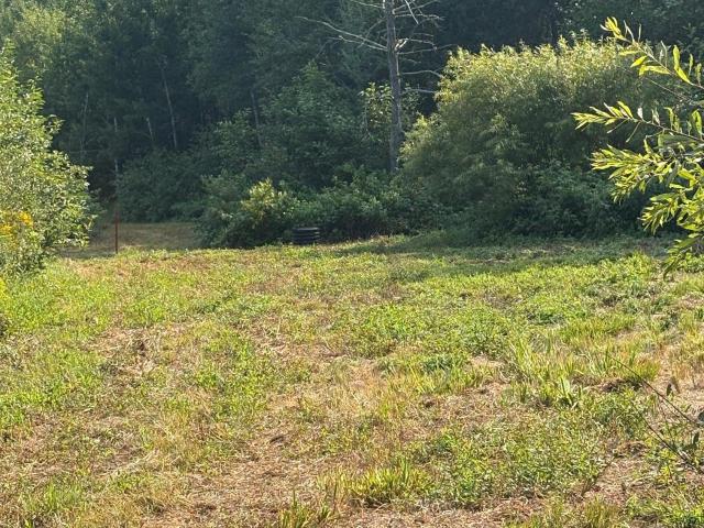 Land for sale in Minnesota