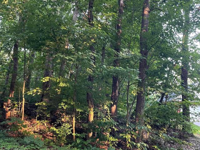 Land for sale in Tennessee