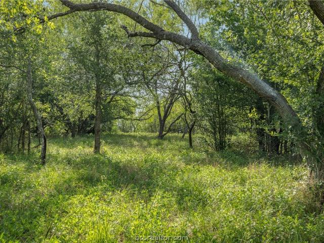 Land for sale in College Station, Texas
