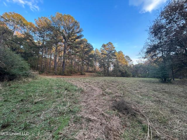 House for sale in Osyka, Mississippi