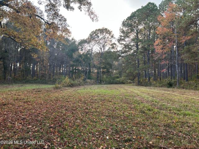 Land for sale in Osyka, Mississippi
