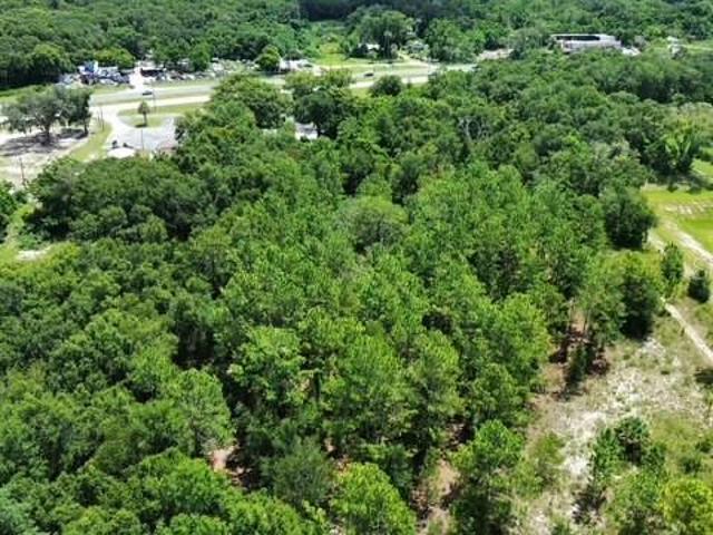 Land for sale in Tangerine, Florida