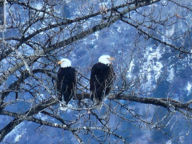 Apartment for sale in Penticton, British Columbia