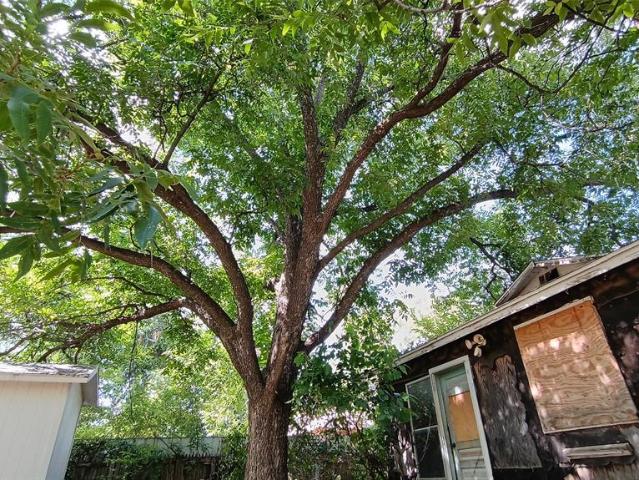 Land for sale in Callahan, Texas